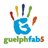 GuelphFab5's profile image