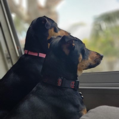 RWDeneau21's profile picture. 