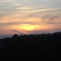 Dominic Zepeda (@portals_) 's Twitter Profile