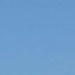 moowhat9's profile picture. 