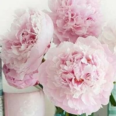 Bluevibes66's profile picture. 🌸 وأقسم لنا من خشيتك ما تحول به بيننا وبين معصيتك 🌸