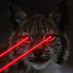 Cripto Nite (@cripto_nite) Twitter profile photo Cripto Nite (@cripto_nite) Twitter profile photo