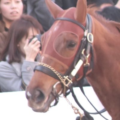 こちらは競馬、アニメ、ゲームなどの趣味のアカウントです。 ※ほぼ競馬。本アカウント(@thknthknthkn )※アイコンはとりあえず、ラッキーライラック(中山記念2着時の)ちゃんです。競馬歴は26年くらい。好きな馬はメジロブライト、ダンスインザダーク。