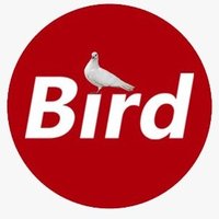 The Bird Media(@TheBirdMedia2) 's Twitter Profile Photo