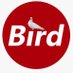 The Bird Media (@thebirdmedia2) Twitter profile photo The Bird Media (@thebirdmedia2) Twitter profile photo