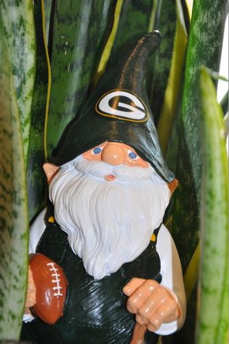 I am The Gnome
