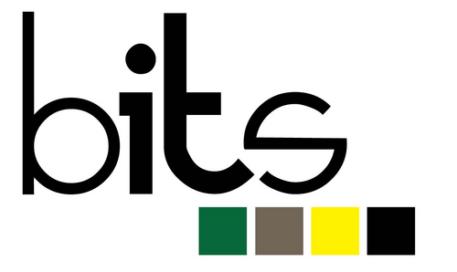 HU_BITS's profile picture. Harding University Business Information Technology Students