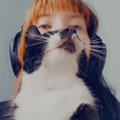 This is my new art account! @i_paintingcats - old account

🌺 Freelance pet portrait and emote artist
 Huge Dipshit and animal lover  🌺
 🌺