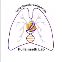 Pullamsetti Lab (@pullamsettil) 's Twitter Profile Photo Pullamsetti Lab (@pullamsettil) 's Twitter Profile Photo