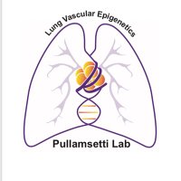 Pullamsetti Lab(@PullamsettiL) 's Twitter Profile Photo