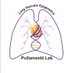Pullamsetti Lab (@pullamsettil) Twitter profile photo Pullamsetti Lab (@pullamsettil) Twitter profile photo