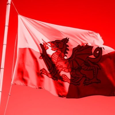 LGBAllies_Cymru Profile Picture