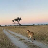 MCC Project (@mcc_project) 's Twitter Profile Photo