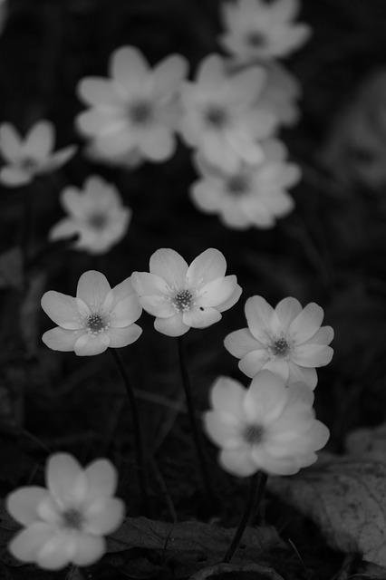 MeralKaman's profile picture. 