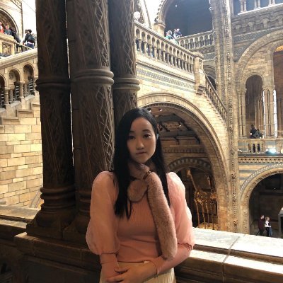 pythonnewbies's profile picture. London based HongKonger