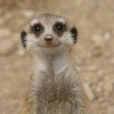 ZT77217839's profile picture. 