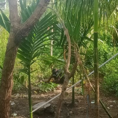 Selalu baik untuk mengukir cerita antara kita yang ceria kamu dia mereka untuk kita melalui semua antara nyaman deng cinta parkita menyanyi bersama ko dan love2