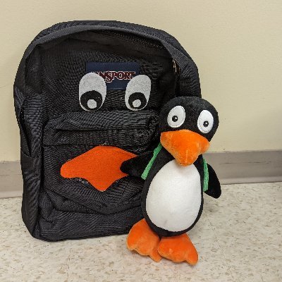 Traveling penguin, looking for math in the world
