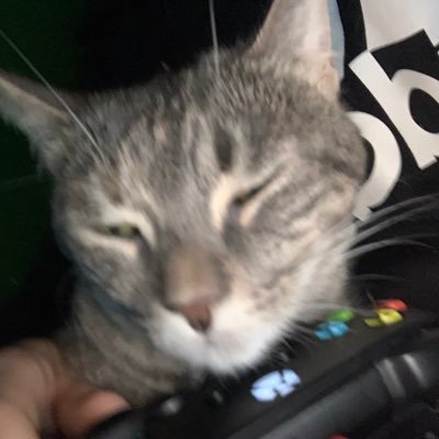 Hammy228's profile picture. Hammy