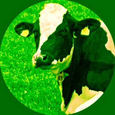 0o0oOo0Oo00's profile picture. I’m a cow. 🌿iHerb割引コード:PTD7648