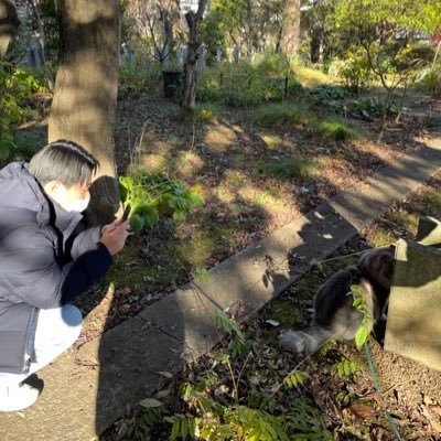 y_jyx1's profile picture. 立教大学