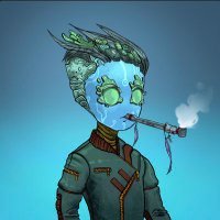 YungBob.Sol (@yungbob) 's Twitter Profile