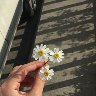 Js8N2rrgW9Yynif Profile Picture