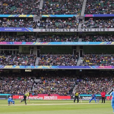 cricLover95's profile picture. 