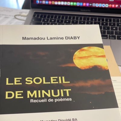 LeSoleilDeMinui's profile picture. 