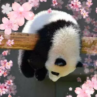 저랑 공부해요!! 💕 #langtwt 📖 Resource dump in my pinned tweet 📖Learning:🇪🇸🇰🇷. Want to learn: 🖐️🇩🇪🇯🇵🇨🇵🇻🇳🇵🇰🐉 @CompulsivePanda@mastodon.social