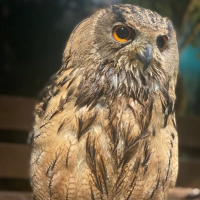 関東の薬科に通っている薬学生です。
就活、国試に不安を感じているため薬学生や薬剤師の方の話をぜひ教えてください。
24卒