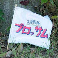 友情戦隊ブロッサム (@yujo_blossom) 's Twitter Profile