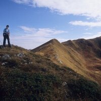 Parco Appennino (@parcoappennino) 's Twitter Profile