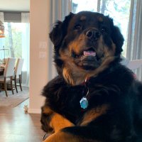 k2aviation (@kevin17764559) 's Twitter Profile