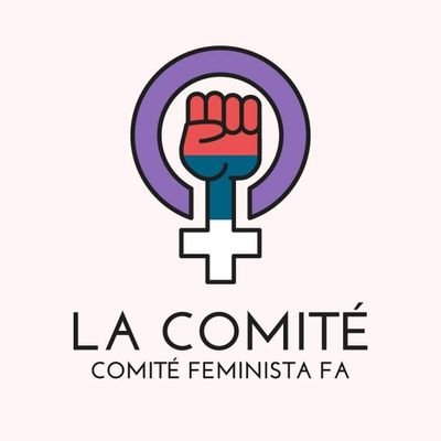 Comité funcional feminista - Coordinadora C/Montevideo-Frente Amplio - lacomitefa@gmail.com