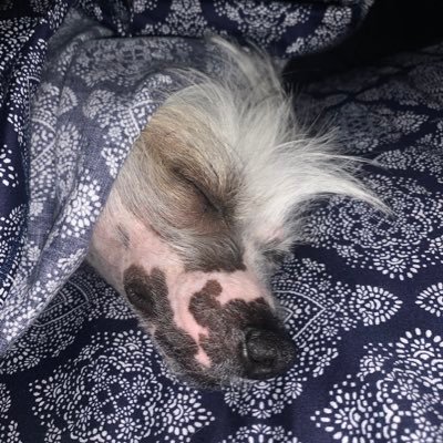 imskiyournot's profile picture. 