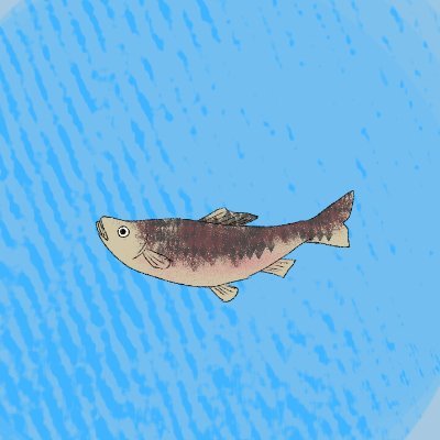 本気ﾀﾞｽさんのプロフィール画像