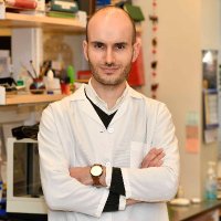 Nuno Dinis Alves (@ndinisalves) 's Twitter Profile