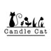 Candle Cat (@candlecatwax) Twitter profile photo