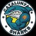Catalunya Sharks (@catalunyasharks) Twitter profile photo Catalunya Sharks (@catalunyasharks) Twitter profile photo