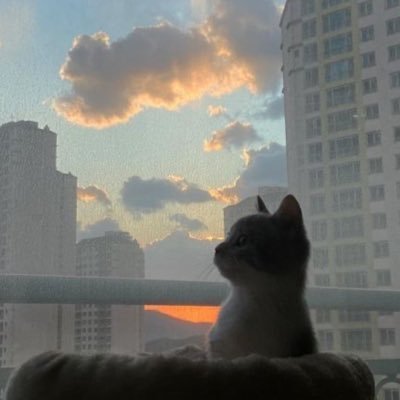 ggbellow's profile picture. รักเค้าไปวันๆ🥰