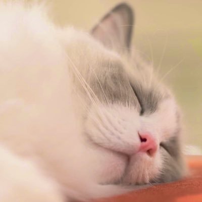 good82867's profile picture. 日常のこと