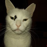 Spencer (@spencer29716441) Twitter profile photo