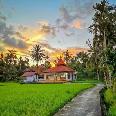 Cewe ABG Remaja Cantik Manis Imut Lucu Narsis Sexy on Twitter: "BOKEP