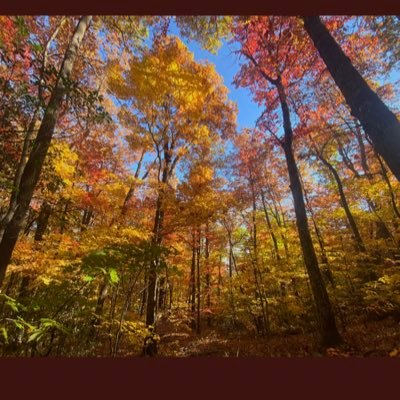 Messiah07's profile picture. 