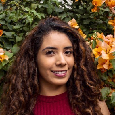 Lizzie_VanegasD's profile picture. 