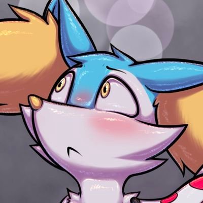 Braixenchuさんのプロフィール画像