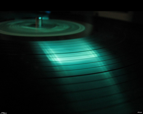 MRODZ808's profile picture. 