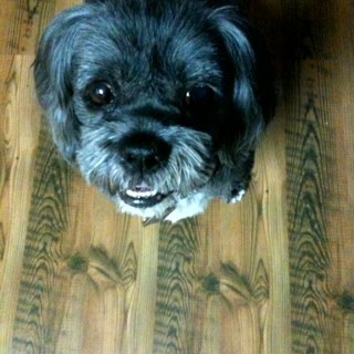 crazytxdad's profile picture. 