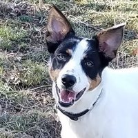 D Mace πππππππ (@dmace51) 's Twitter Profile